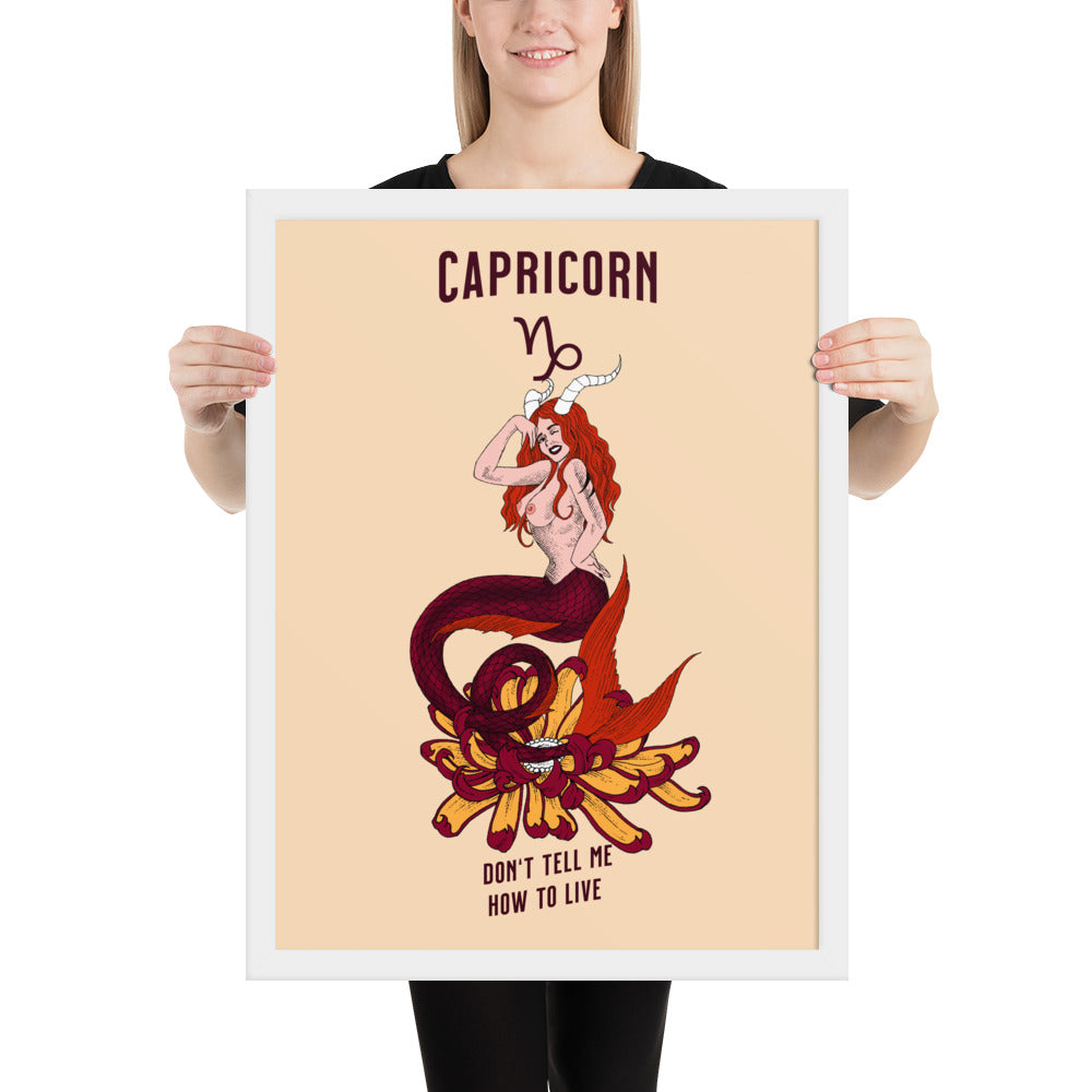 Capricorne - Encadré