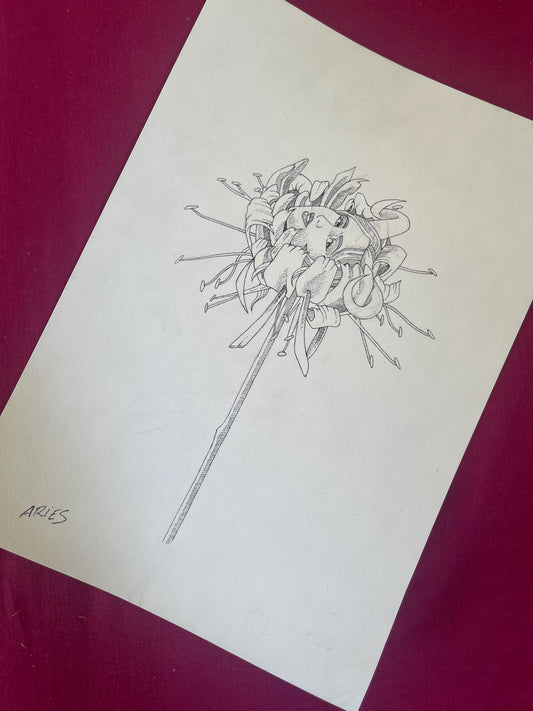 Aries Flower Illustration Original