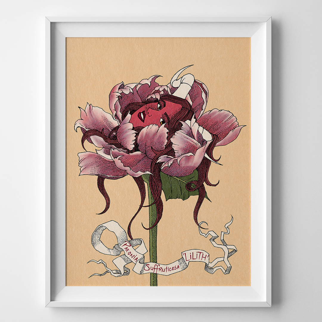 Paeonia Suffruticosa Lilith - Taille moyenne